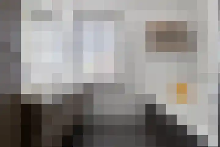 Carneool 2 Drachten thumbnail 62