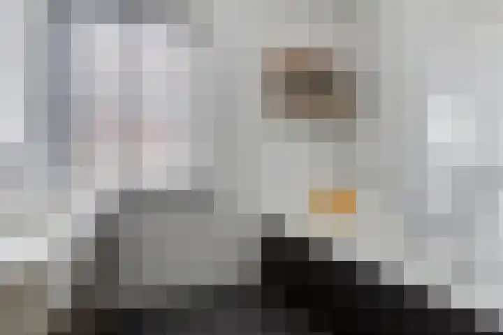 Carneool 2 Drachten thumbnail 63