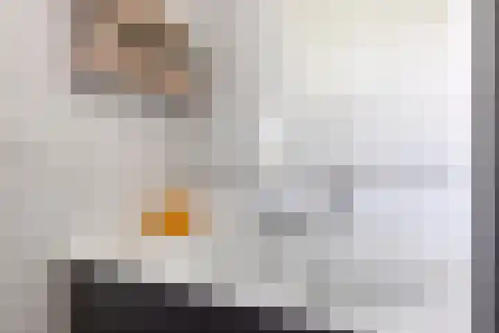 Carneool 2 Drachten thumbnail 64