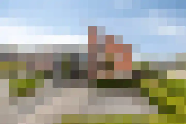Carneool 2 Drachten thumbnail 7