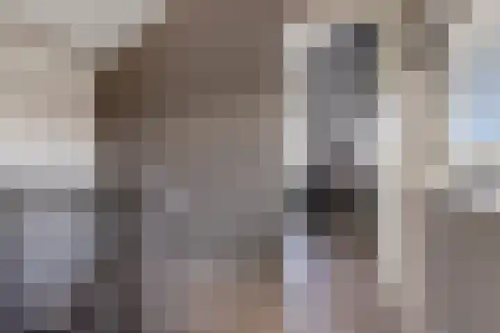 Carneool 2 Drachten thumbnail 74