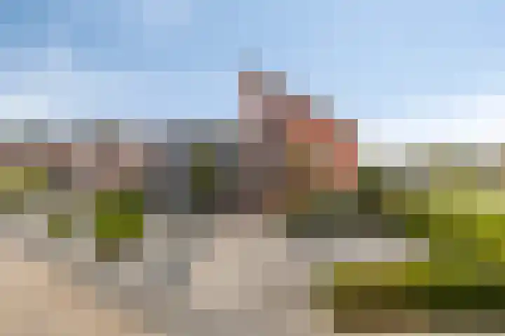 Carneool 2 Drachten thumbnail 8