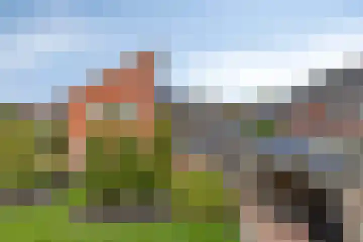 Carneool 2 Drachten thumbnail 81