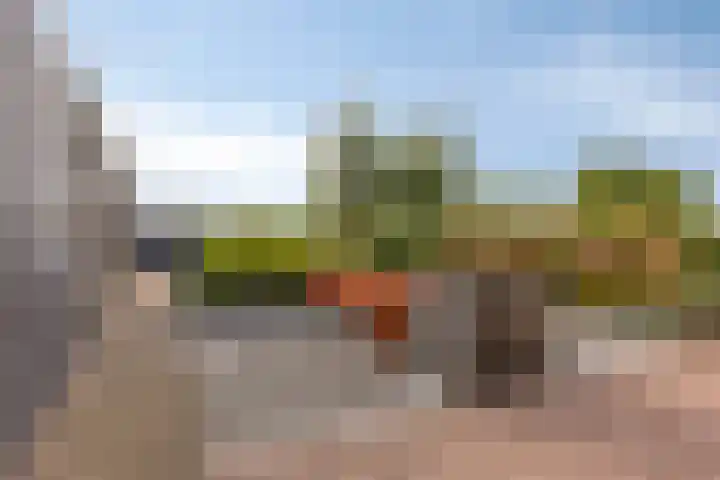 Carneool 2 Drachten thumbnail 82