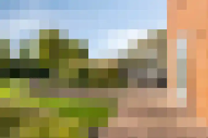 Carneool 2 Drachten thumbnail 83