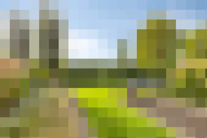 Carneool 2 Drachten thumbnail 84