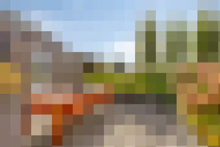 Carneool 2 Drachten thumbnail 85