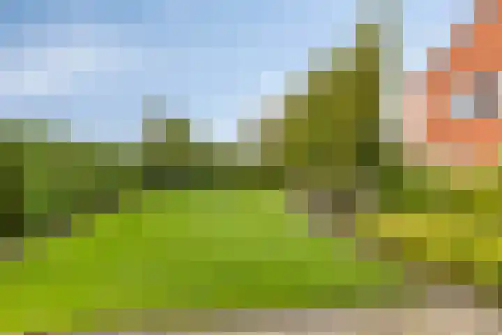 Carneool 2 Drachten thumbnail 86