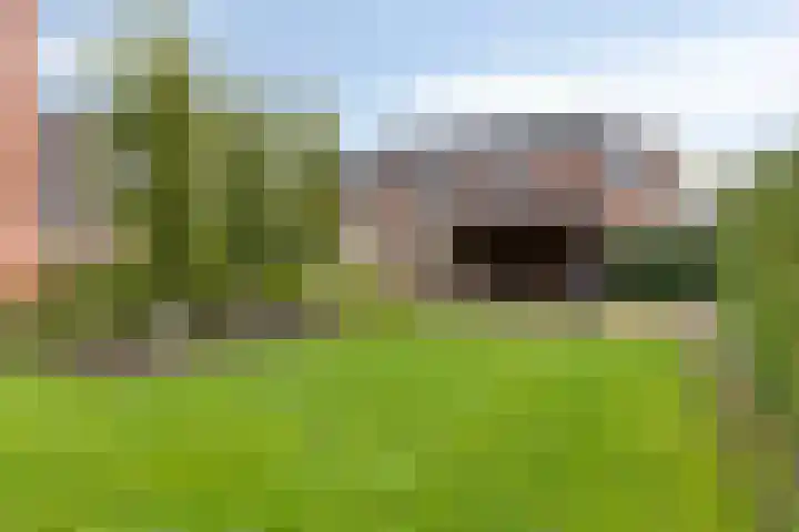 Carneool 2 Drachten thumbnail 87