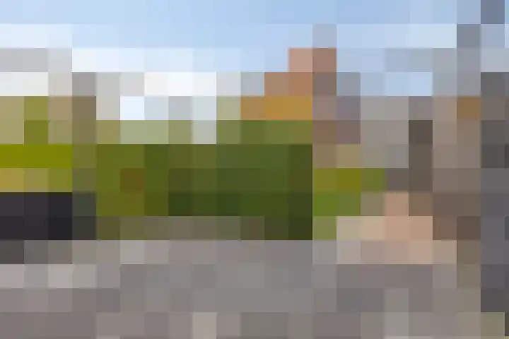 Carneool 2 Drachten thumbnail 89