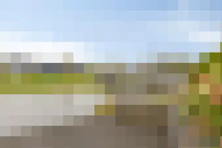 Carneool 2 Drachten thumbnail 93