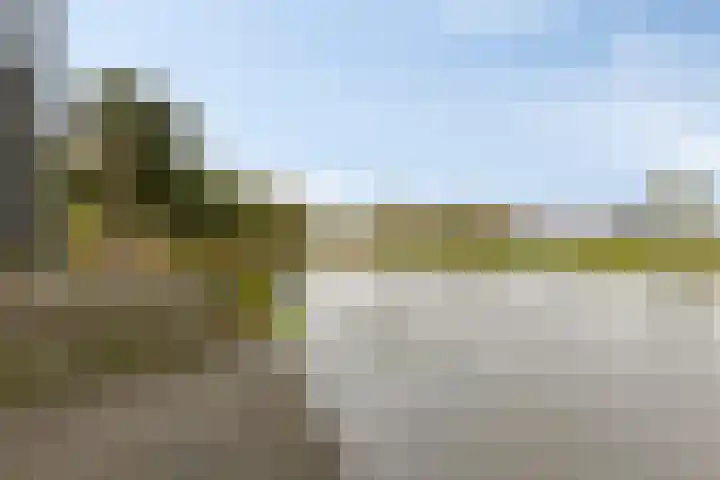 Carneool 2 Drachten thumbnail 94