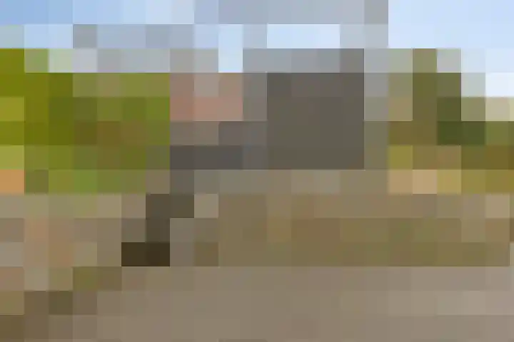 Carneool 2 Drachten thumbnail 95