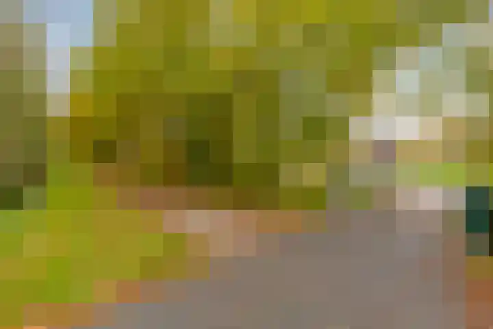Carneool 2 Drachten thumbnail 96