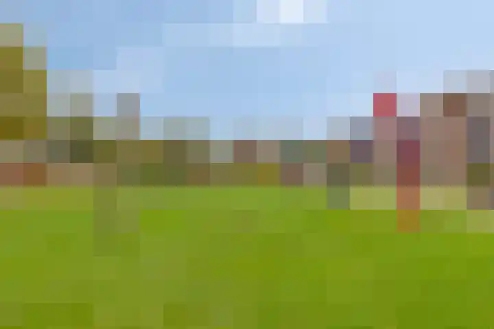 Carneool 2 Drachten thumbnail 97