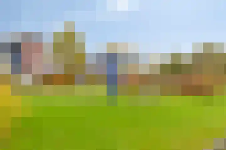 Carneool 2 Drachten thumbnail 98