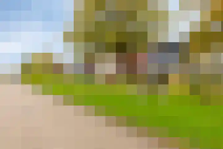Carneool 2 Drachten thumbnail 99
