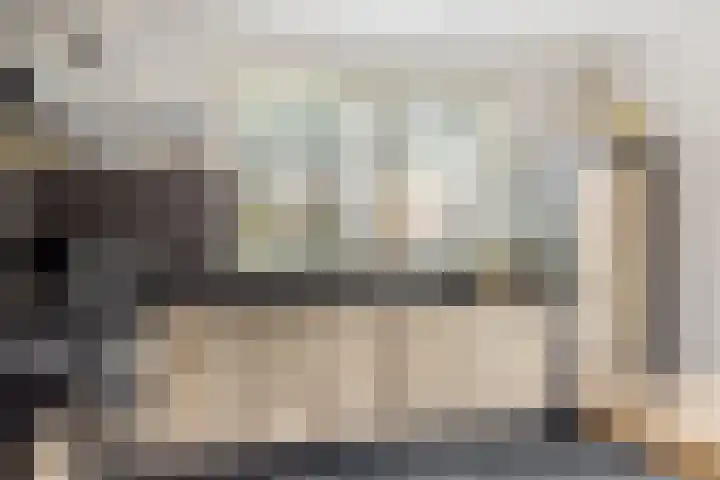 Carneool 31 Drachten thumbnail 17