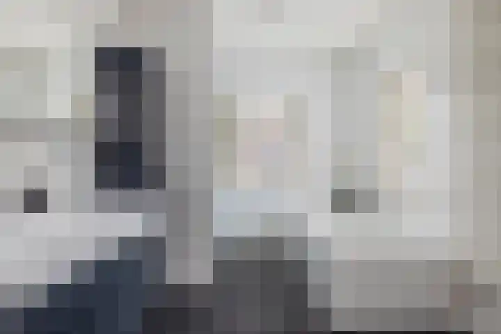Carneool 31 Drachten thumbnail 31