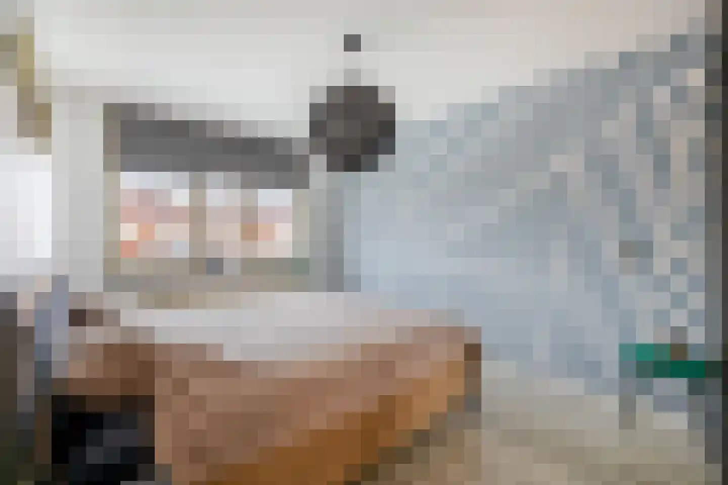 Carneool 46 Venlo thumbnail 11
