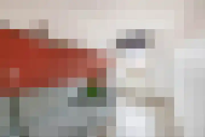 Carneool 46 Venlo thumbnail 13