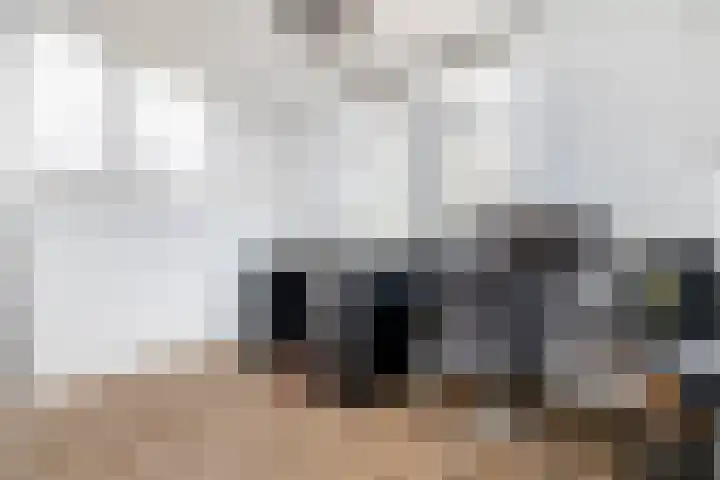 Carneool 46 Venlo thumbnail 19