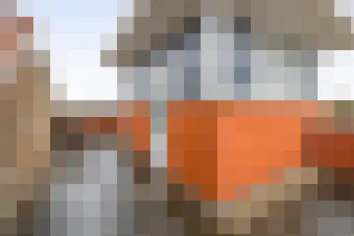 Carneool 46 Venlo thumbnail 21