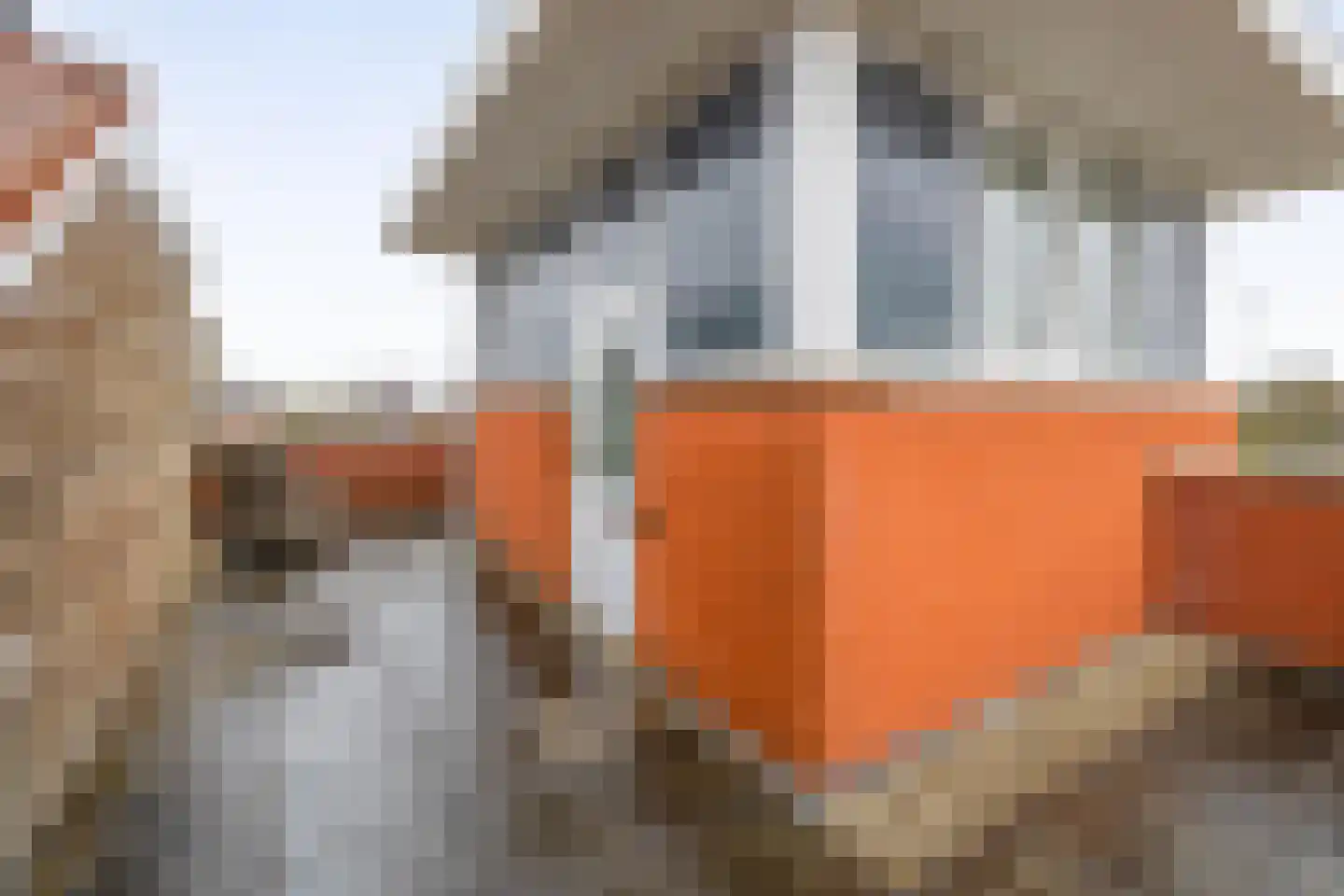Carneool 46 Venlo thumbnail 21