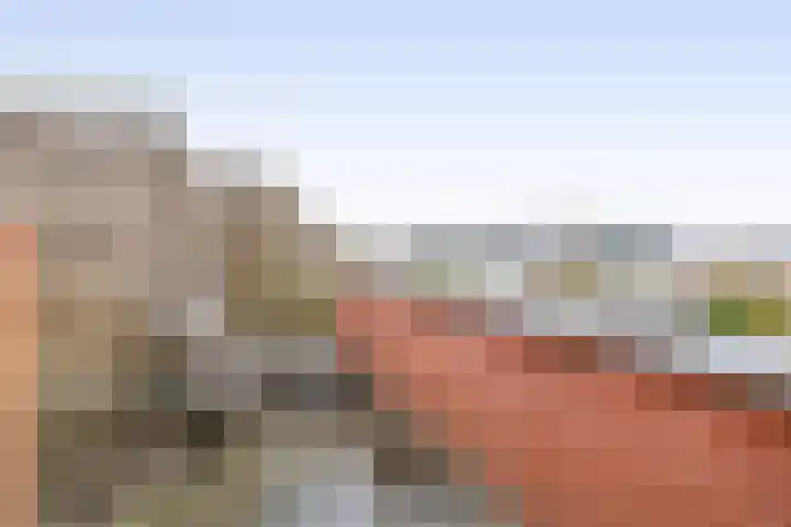 Carneool 46 Venlo thumbnail 23