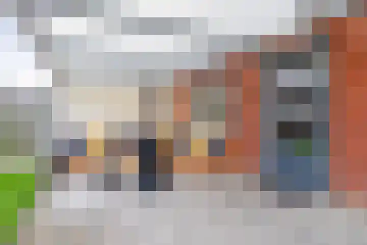 Carneool 46 Venlo thumbnail 24