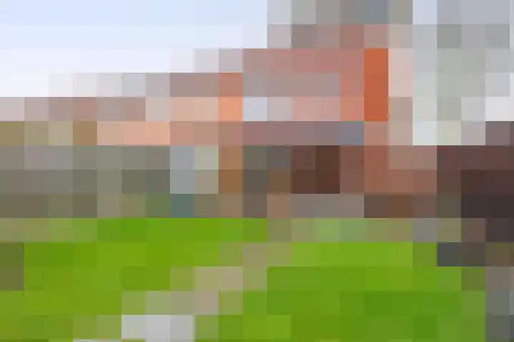Carneool 46 Venlo thumbnail 25