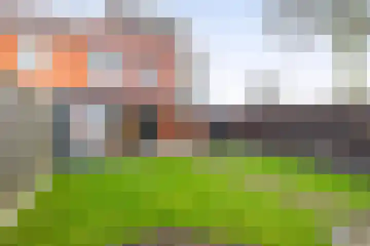 Carneool 46 Venlo thumbnail 26