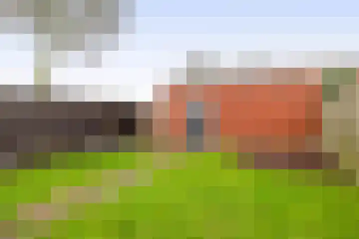 Carneool 46 Venlo thumbnail 27