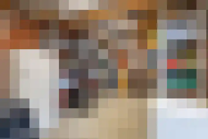 Carneool 46 Venlo thumbnail 28
