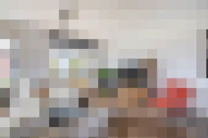 Carneool 46 Venlo thumbnail 4