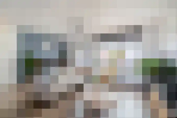 Carneool 46 Venlo thumbnail 5