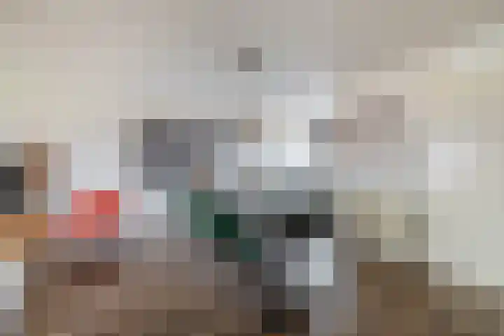 Carneool 46 Venlo thumbnail 6