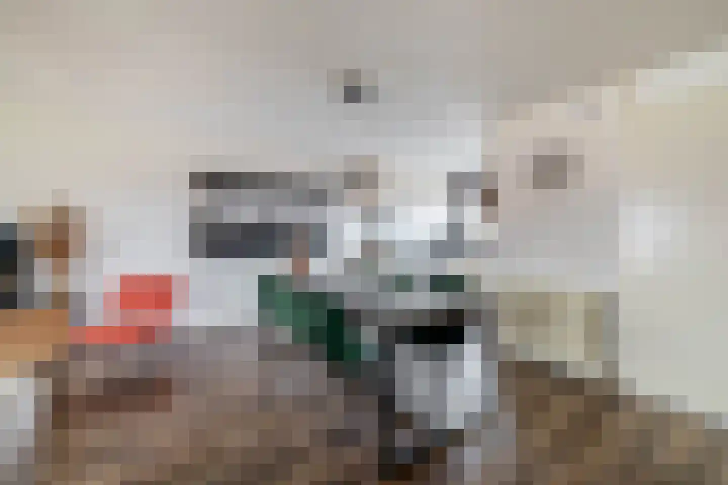 Carneool 46 Venlo thumbnail 6