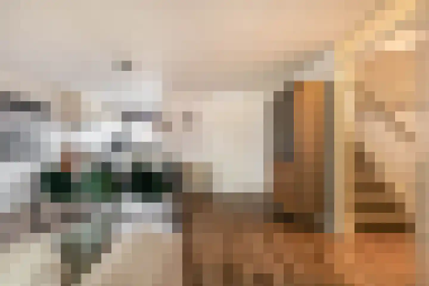 Carneool 46 Venlo thumbnail 7