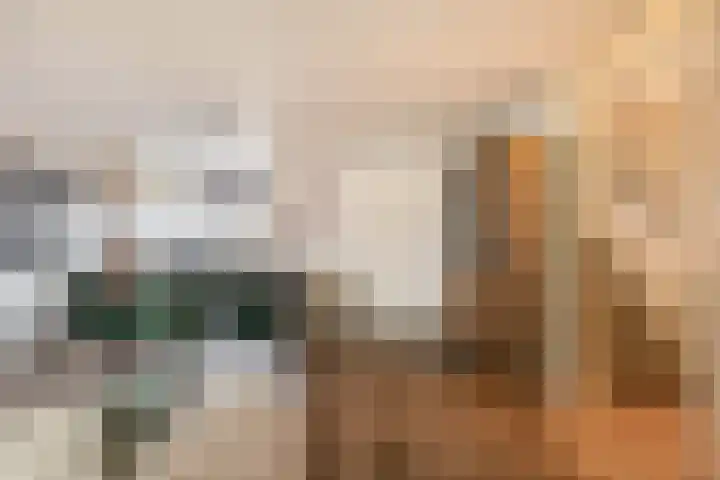 Carneool 46 Venlo thumbnail 7