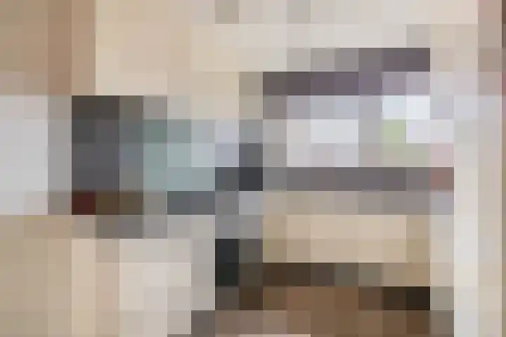Carneool 46 Venlo thumbnail 8