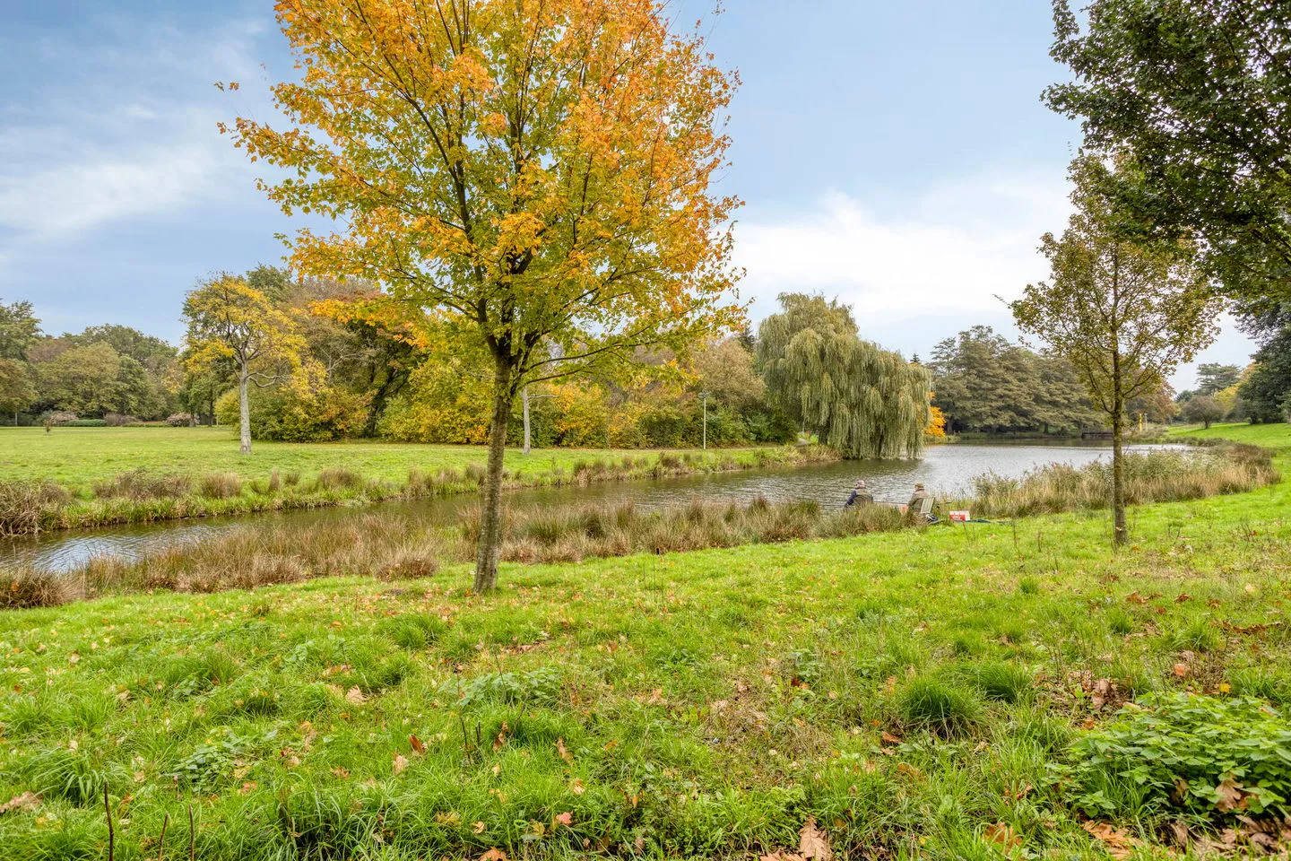 Carneooldijk 49 Roosendaal thumbnail 38