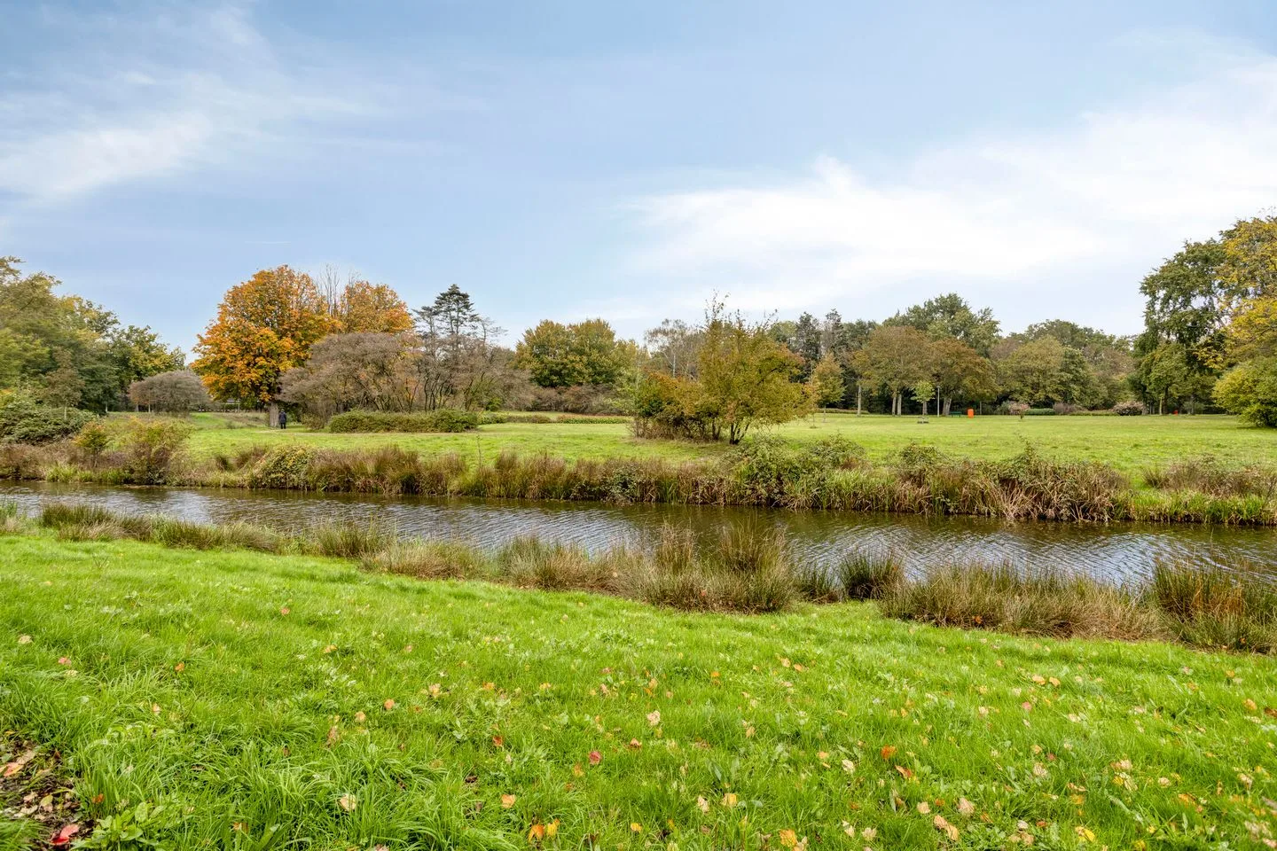 Carneooldijk 49 Roosendaal thumbnail 6
