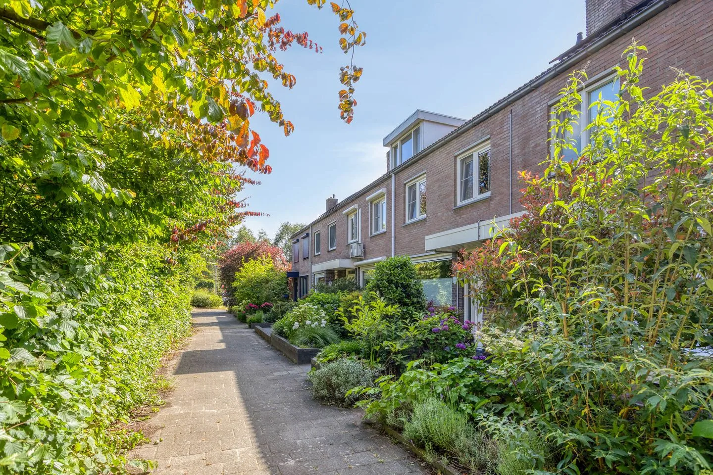 Carneooldijk 65 Roosendaal thumbnail 37