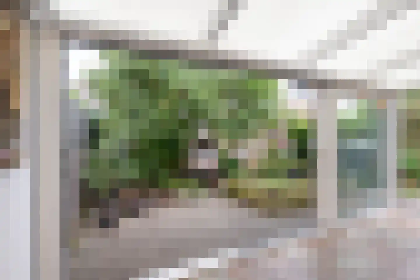 Carneoolstraat 5 Leiden thumbnail 23