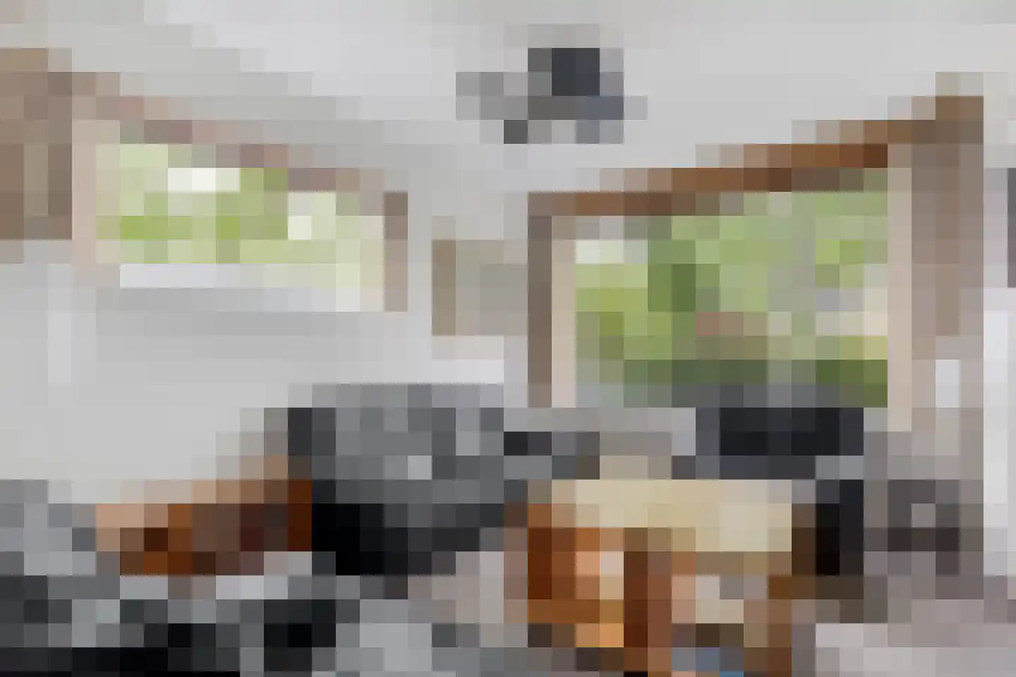 Carneoolstraat 5 Leiden thumbnail 4