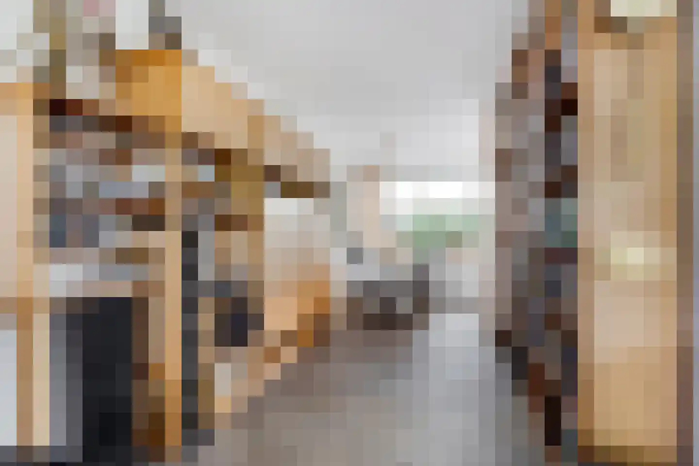 Carneoolstraat 5 Leiden thumbnail 7