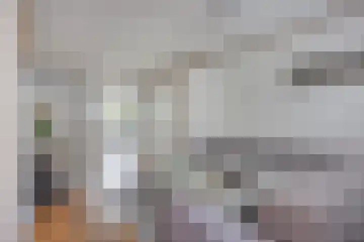Carnisselaan 17 Rotterdam thumbnail 10
