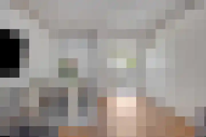 Carnisselaan 17 Rotterdam thumbnail 11