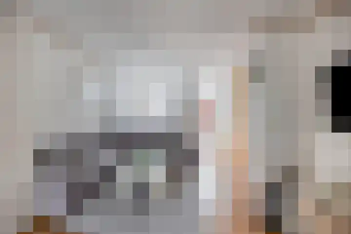 Carnisselaan 17 Rotterdam thumbnail 12